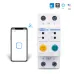 63A Din Rail WIFI Circuit Breaker Smart Switch Remote Control by Ewelink APP for Smart Home 63A with Leakage Protection