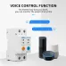 63A Ewelink Single Phase WIFI Smart Energy Meter Kwh Metering Monitoring Circuit Breaker Timer Relay with Leakage Protection