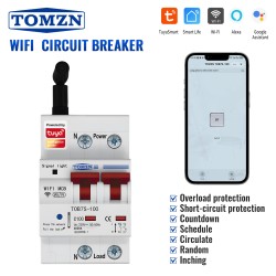 TOMZN WIFI Smart Circuit Breaker 2P 230V AC 1-100A Overload Protection Short-circuit Breaker Timer Switch Din Rail Smartlife